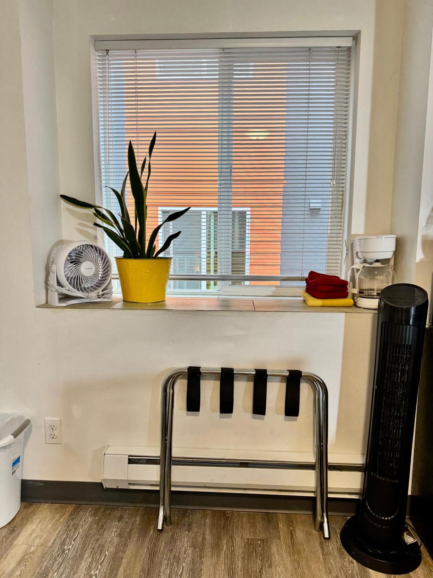 Micro Studio Apartment 10 Minutes Walk To University Of Washington Seattle Exterior foto